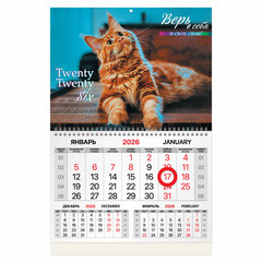 268413a15503d21a8d69e051b9bc9594 xl